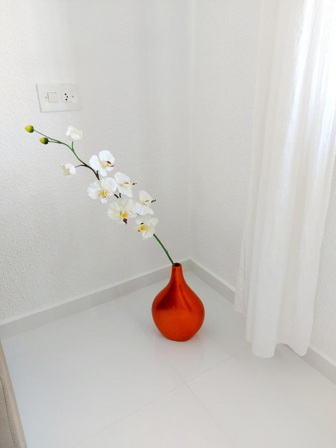 Albir Resort El Albir Kültér fotó