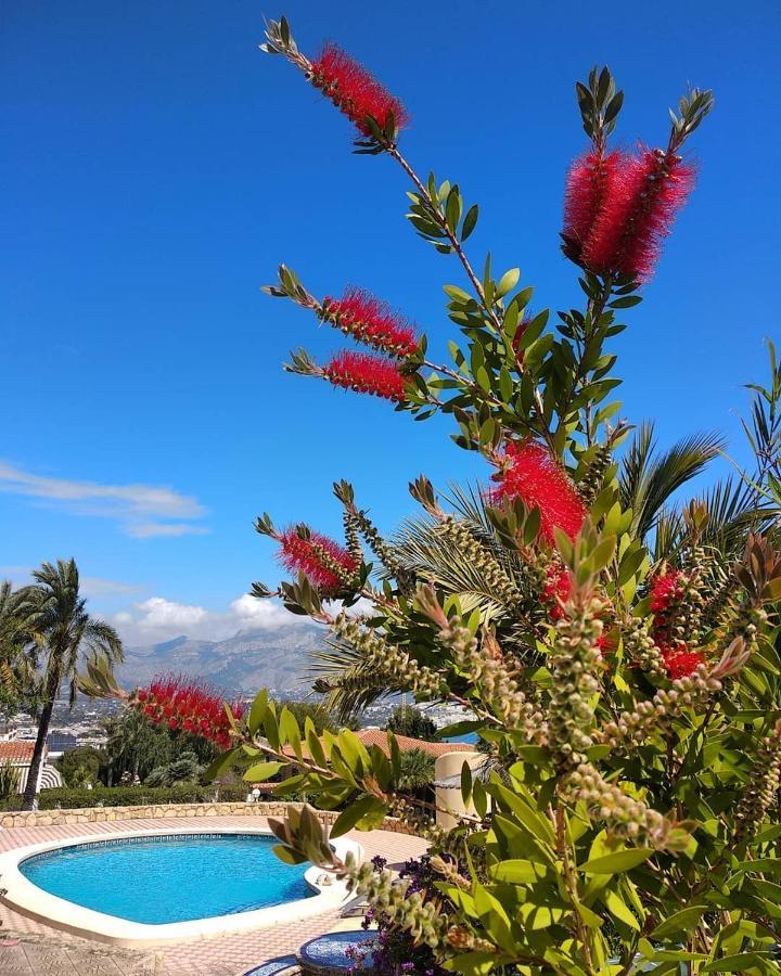 Albir Resort El Albir Kültér fotó