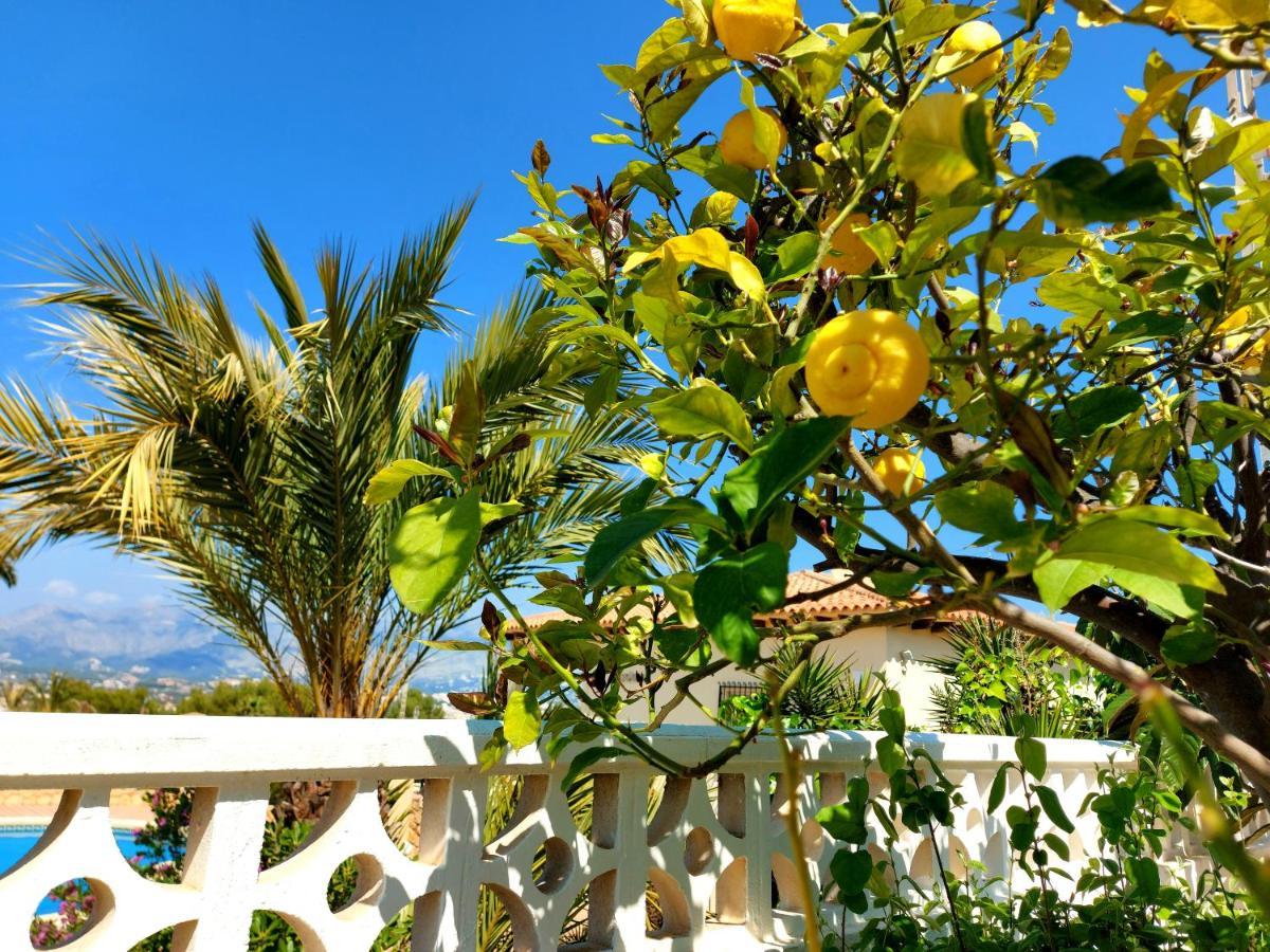 Albir Resort El Albir Kültér fotó